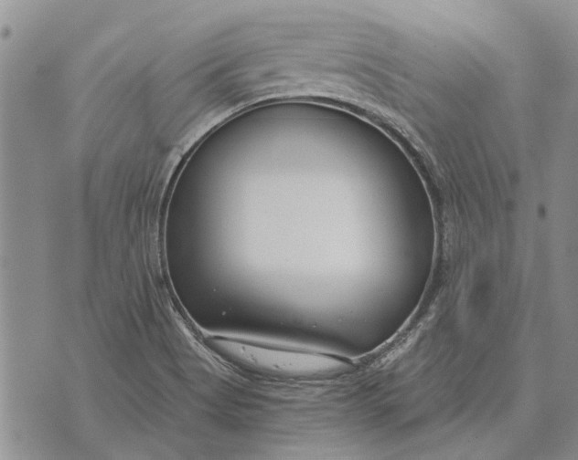 X0000073901513200609011705