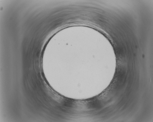 X0000073901514200609011705