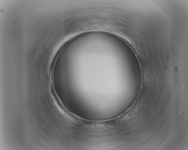 X0000073901515200609011705