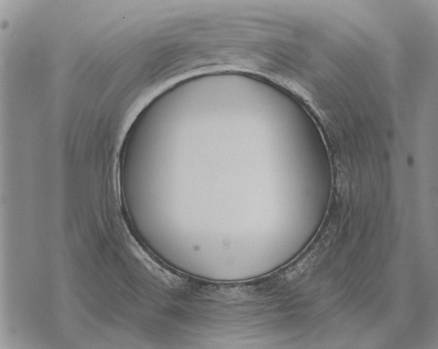 X0000073901516200609011705