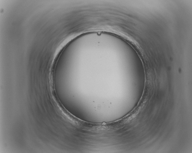 X0000073901517200609011705