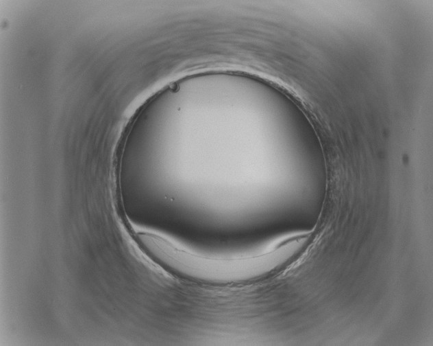 X0000073901518200609011705