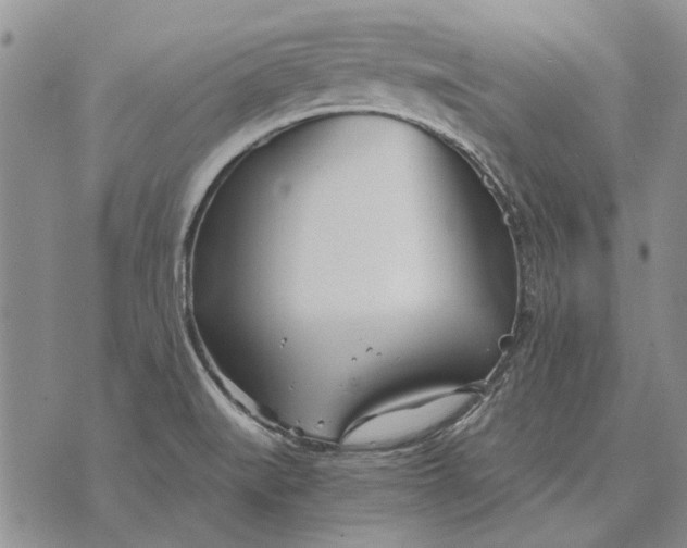 X0000073901519200609011705