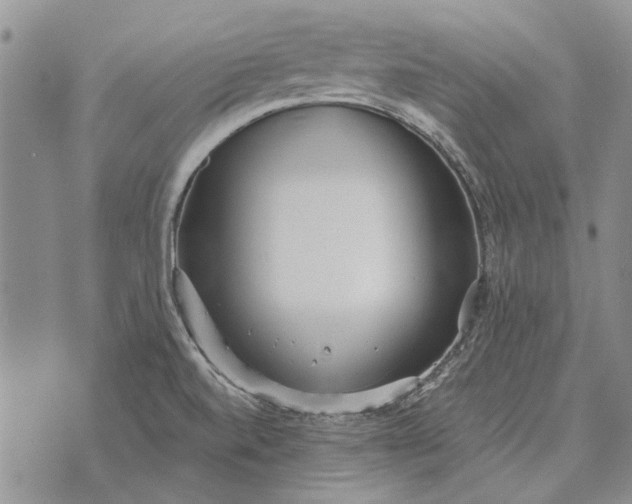 X0000073901520200609011705