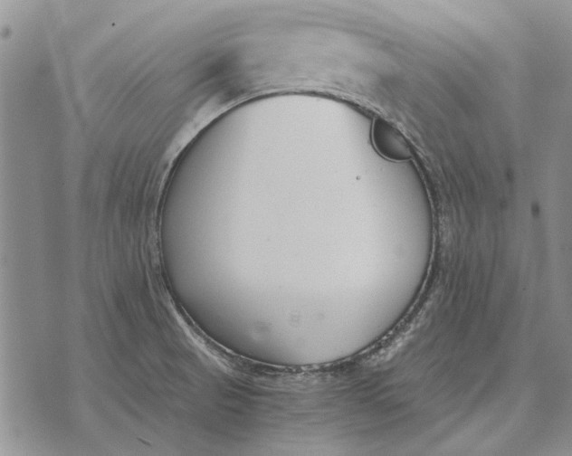 X0000073901521200609011705