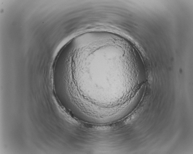 X0000073901522200609011705