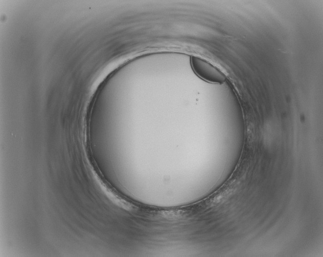 X0000073901523200609011705