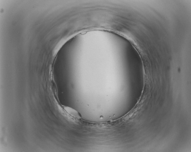 X0000073901524200609011705