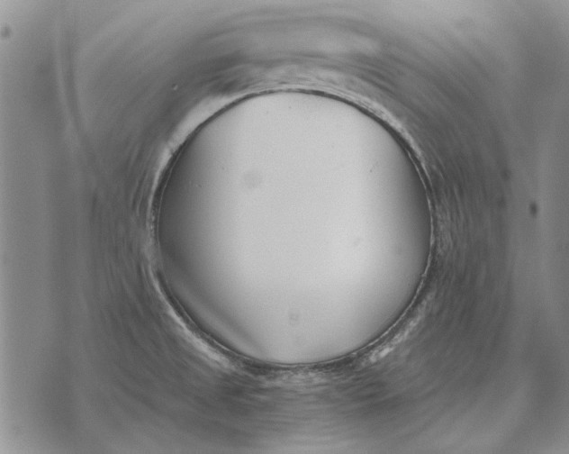 X0000073901525200609011705