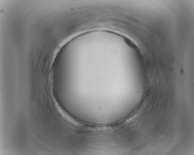 X0000073901526200609011705