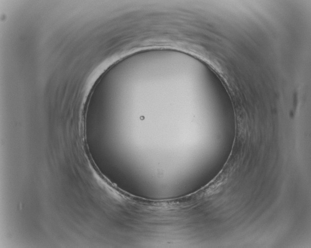 X0000073901527200609011705