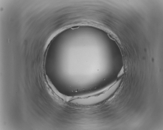 X0000073901530200609011705