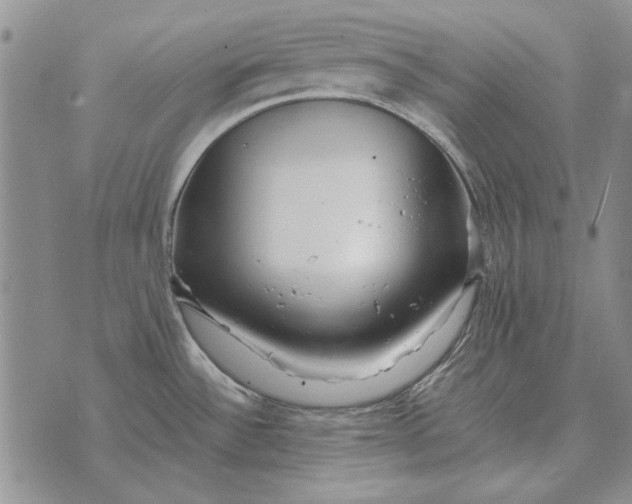 X0000073901532200609011705