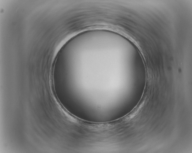 X0000073901533200609011706