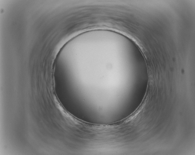 X0000073901534200609011706