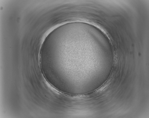 X0000073901535200609011706