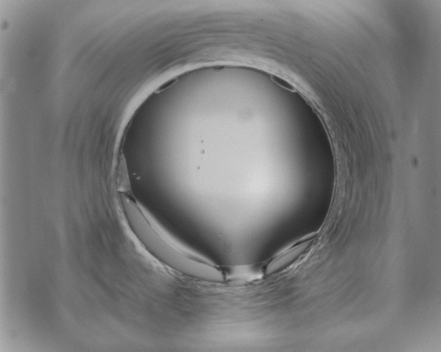 X0000073901536200609011706