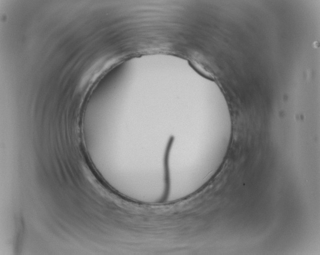 X0000073900002200609082159