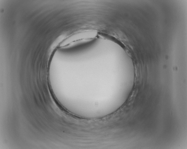 X0000073900003200609082159