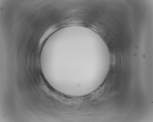 X0000073900004200609082159