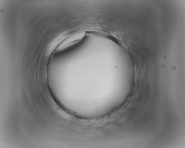 X0000073900005200609082159