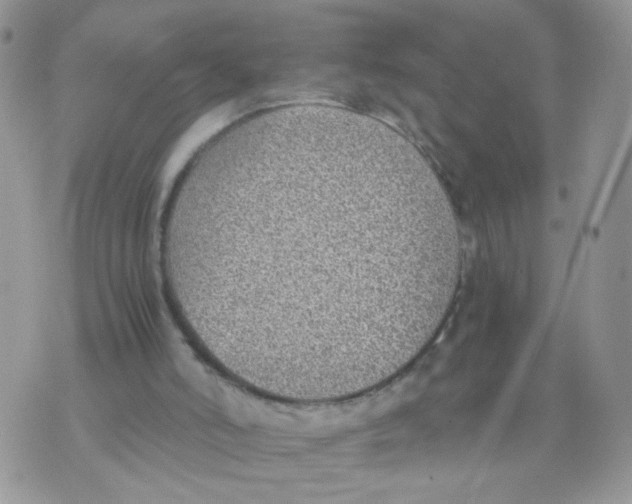 X0000073900006200609082159