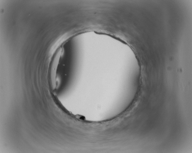 X0000073900007200609082159