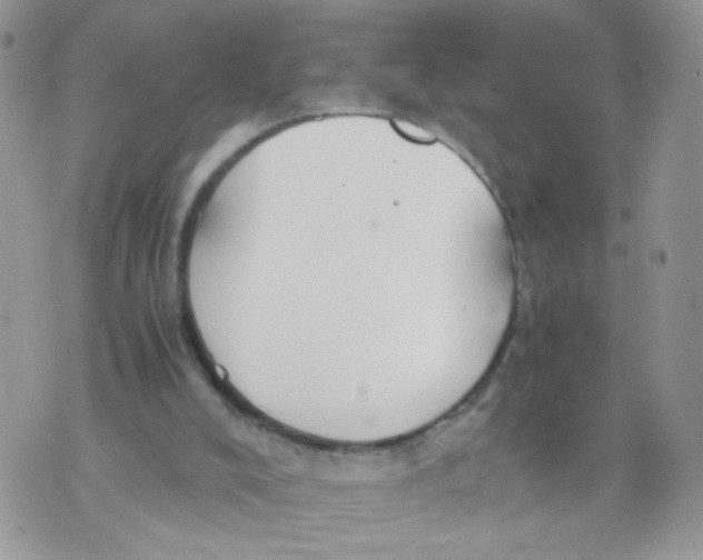 X0000073900008200609082159