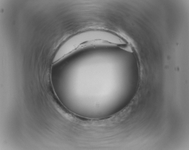 X0000073900009200609082159