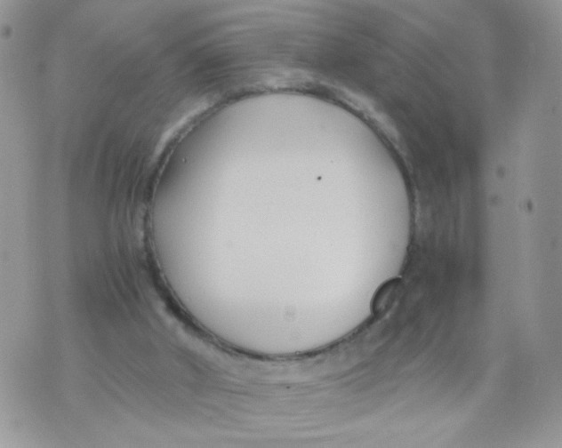 X0000073900010200609082159