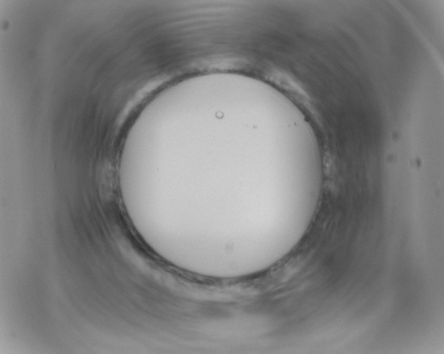 X0000073900012200609082159