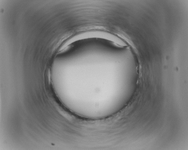 X0000073900013200609082159