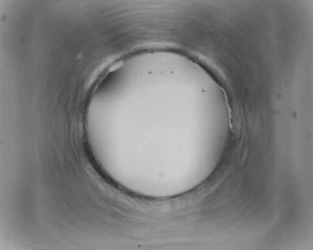 X0000073900015200609082159