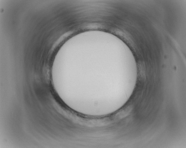 X0000073900016200609082159