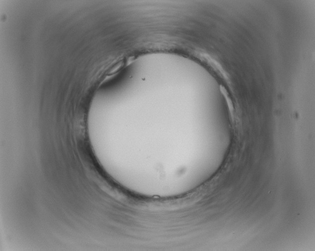 X0000073900017200609082159