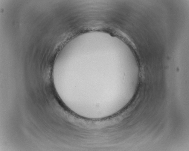 X0000073900018200609082159