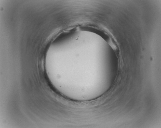 X0000073900019200609082159