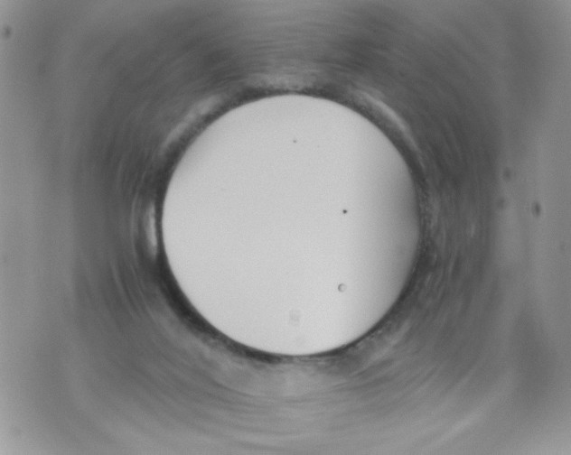 X0000073900020200609082159