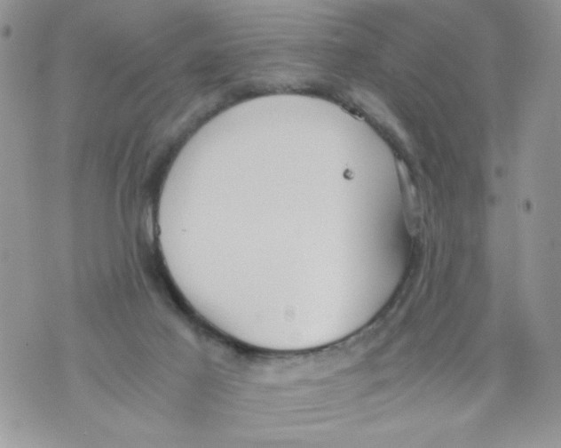 X0000073900021200609082159