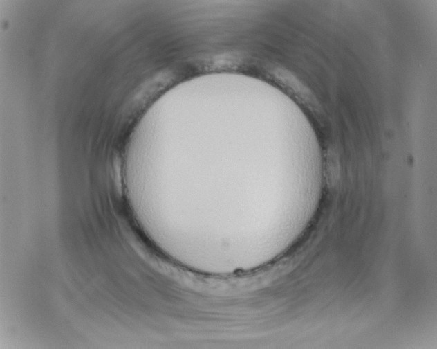 X0000073900022200609082159