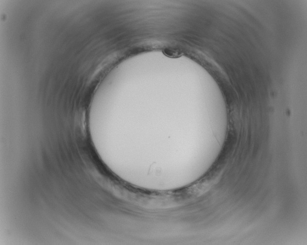 X0000073900024200609082159