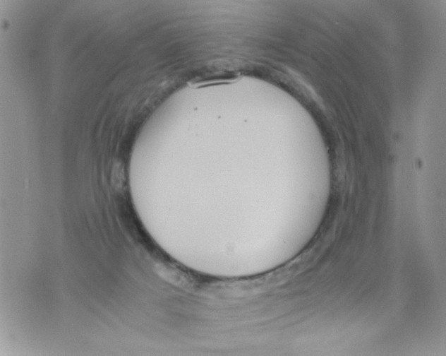 X0000073900025200609082159