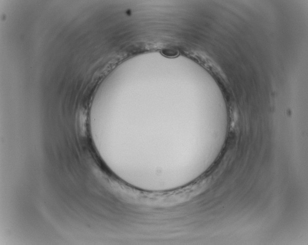 X0000073900026200609082159