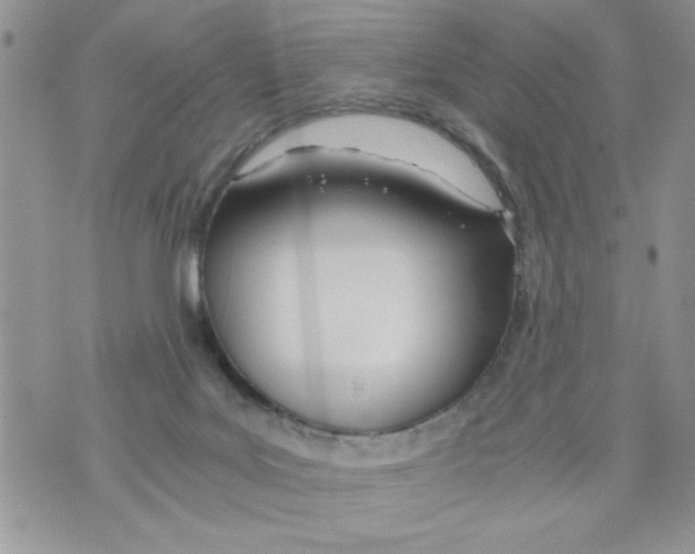 X0000073900027200609082159