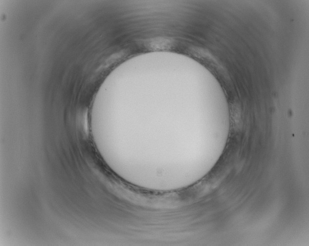 X0000073900028200609082159