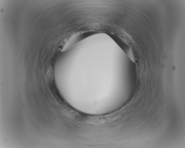 X0000073900029200609082159