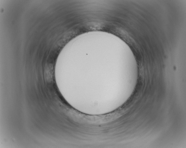 X0000073900030200609082159