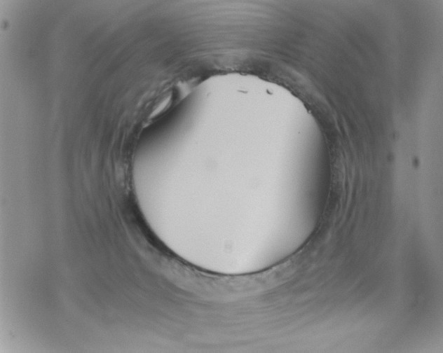 X0000073900031200609082159