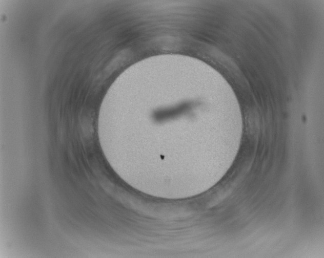 X0000073900032200609082159