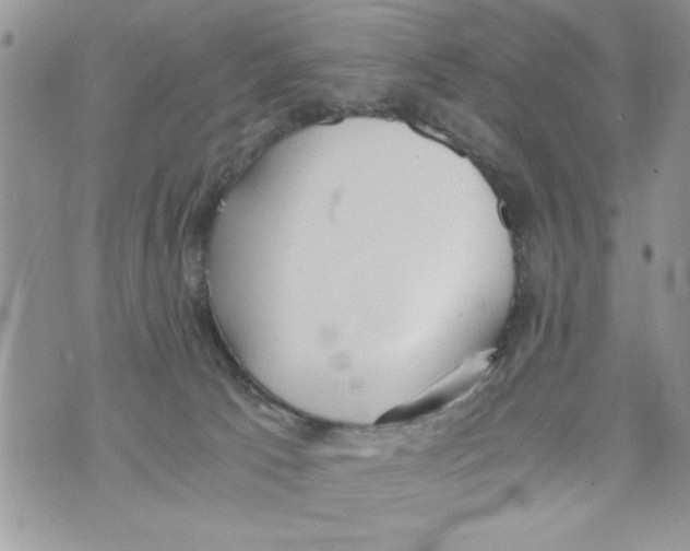 X0000073900033200609082159